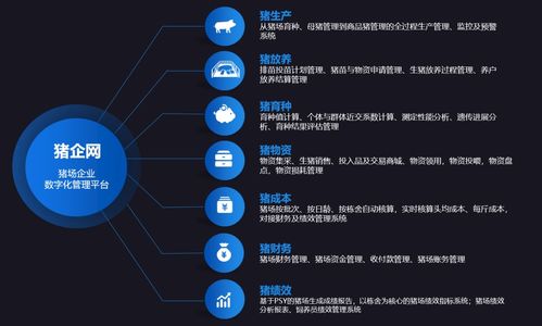 智慧養豬新篇章 企聯網產品結構全景解讀